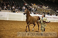 08usn-s07629 proof