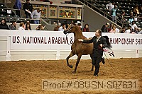 08usn-s07631 proof