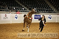 08usn-s07633 proof