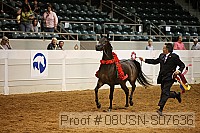 08usn-s07636 proof