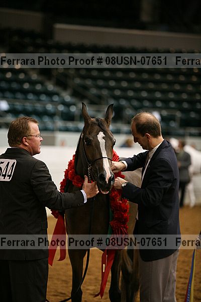 Proof 08usn-07651