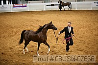 08usn-07666 proof