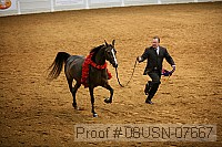 08usn-07667 proof