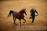 08usn-07668 proof
