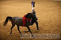 08usn-07670 proof