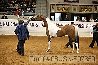 08usn-s07350 proof