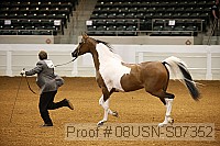 08usn-s07352 proof