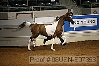 08usn-s07353 proof
