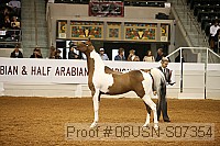 08usn-s07354 proof