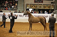 08usn-s07356 proof