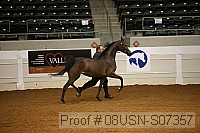 08usn-s07357 proof