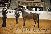 08usn-s07359 proof
