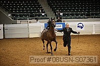 08usn-s07361 proof