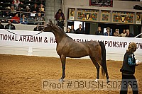 08usn-s07365 proof