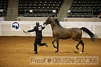 08usn-s07366 proof