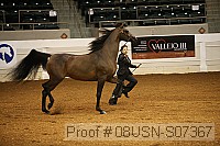 08usn-s07367 proof