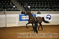08usn-s07368 proof