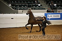 08usn-s07369 proof