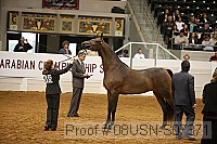 08usn-s07371 proof