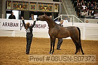 08usn-s07372 proof