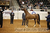 08usn-s07374 proof