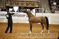 08usn-s07376 proof