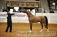 08usn-s07377 proof