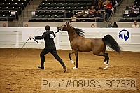 08usn-s07378 proof