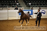 08usn-s07379 proof