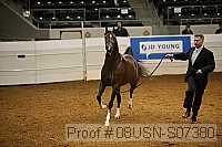 08usn-s07380 proof