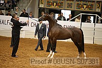 08usn-s07381 proof
