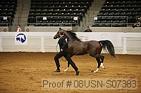 08usn-s07383 proof