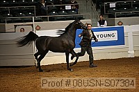 08usn-s07384 proof