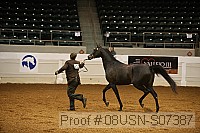 08usn-s07387 proof
