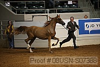 08usn-s07388 proof
