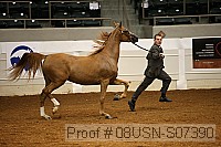 08usn-s07390 proof