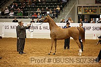 08usn-s07391 proof