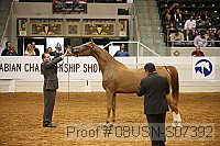 08usn-s07392 proof