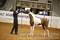 08usn-s07394 proof