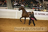 08usn-s07413 proof