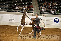08usn-s07417 proof