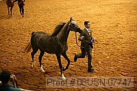08usn-07747 proof