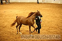 08usn-07748 proof