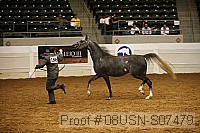 08usn-s07479 proof