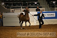 08usn-s07480 proof