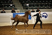 08usn-s07481 proof