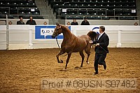 08usn-s07482 proof