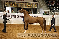 08usn-s07486 proof