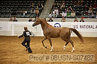 08usn-s07487 proof
