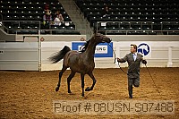 08usn-s07488 proof